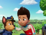 Paw Patrol, la Pat'Patrouille