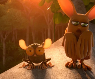 Les as de la jungle à la rescousse - 29/12/2025