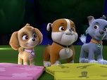 Paw Patrol, la Pat'Patrouille