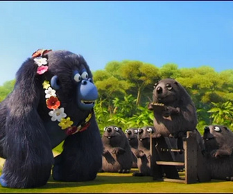 Les as de la jungle à la rescousse - 23/02/2026