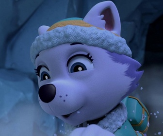 Paw Patrol, la Pat'Patrouille - La Pat'Patrouille et le petit loup blanc