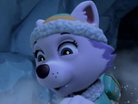Paw Patrol, la Pat'Patrouille