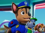 Paw Patrol, la Pat'Patrouille