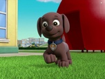 Paw Patrol, la Pat'Patrouille Paw Patrol, la Pat'Patrouille