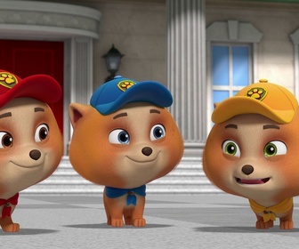 Paw Patrol, la Pat'Patrouille - La Super Patrouille : Le glaçon géant