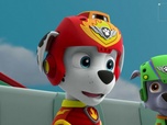 Paw Patrol, la Pat'Patrouille