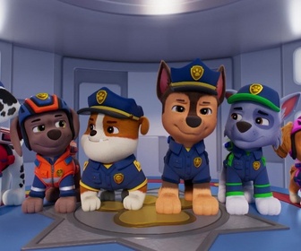 Paw Patrol, la Pat'Patrouille - Mission Détectives : Attention, les poulettes !