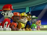 Paw Patrol, la Pat'Patrouille