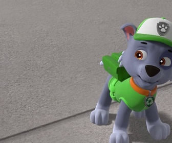 Paw Patrol, la Pat'Patrouille - La grosse fuite