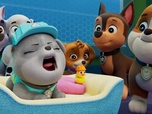 Paw Patrol, la Pat'Patrouille