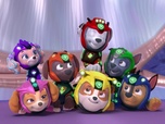 Paw Patrol, la Pat'Patrouille Paw Patrol, la Pat'Patrouille