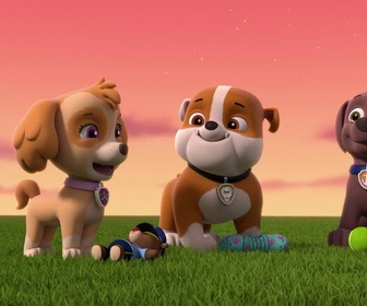 Paw Patrol, la Pat'Patrouille - Une pieuvre farceuse