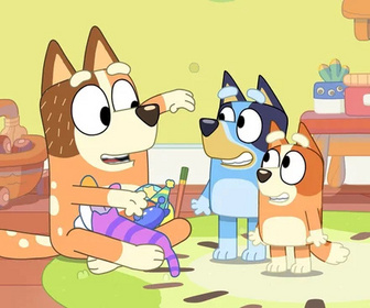 Bluey - 12/05/2026