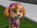 Paw Patrol, la Pat'Patrouille Paw Patrol, la Pat'Patrouille