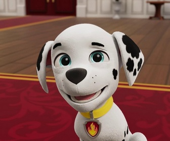 Paw Patrol, la Pat'Patrouille - L'os d'émeraude a disparu