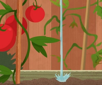 Les sisters - Famille de talents