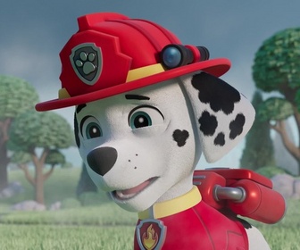 Paw Patrol, la Pat'Patrouille - Mr Hellinger et l'oison