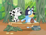 Bluey Bluey