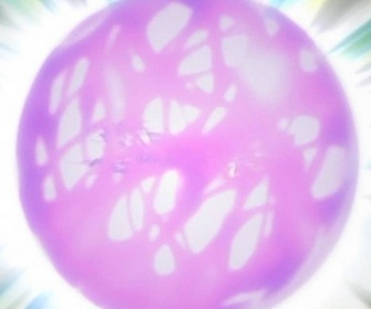 Naruto - S6 E6 - Conclusion sous une pluie de larmes