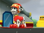 Paw Patrol, la Pat'Patrouille