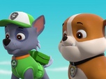 Paw Patrol, la Pat'Patrouille Paw Patrol, la Pat'Patrouille