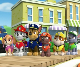 Paw Patrol, la Pat'Patrouille - Les bébés tortues de mer