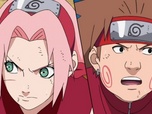 Naruto Shippuden
