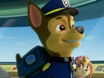 Paw Patrol, la Pat'Patrouille