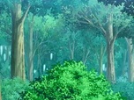 Pokémon Pokémon