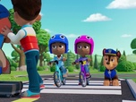 Paw Patrol, la Pat'Patrouille