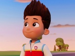 Paw Patrol, la Pat'Patrouille