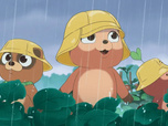 Taki Tanuki