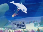 Oum le dauphin blanc Oum le dauphin blanc