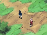 Naruto Naruto