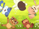 Taki Tanuki