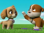 Paw Patrol, la Pat'Patrouille
