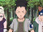 Naruto Shippuden