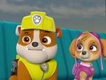 Paw Patrol, la Pat'Patrouille