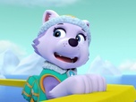 Paw Patrol, la Pat'Patrouille