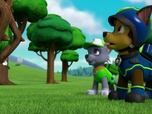 Paw Patrol, la Pat'Patrouille