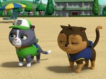 Paw Patrol, la Pat'Patrouille