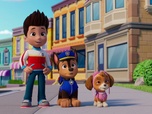 Paw Patrol, la Pat'Patrouille
