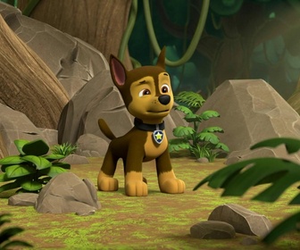 Paw Patrol, la Pat'Patrouille - Des pingouins dans la jungle