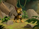 Paw Patrol, la Pat'Patrouille