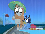 Bluey Bluey