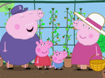 Peppa Peppa
