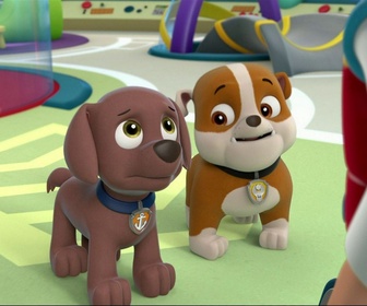 Paw Patrol, la Pat'Patrouille - Joyeux Noël, les amis !