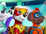 Paw Patrol, la Pat'Patrouille