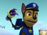 Paw Patrol, la Pat'Patrouille