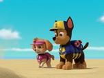 Paw Patrol, la Pat'Patrouille